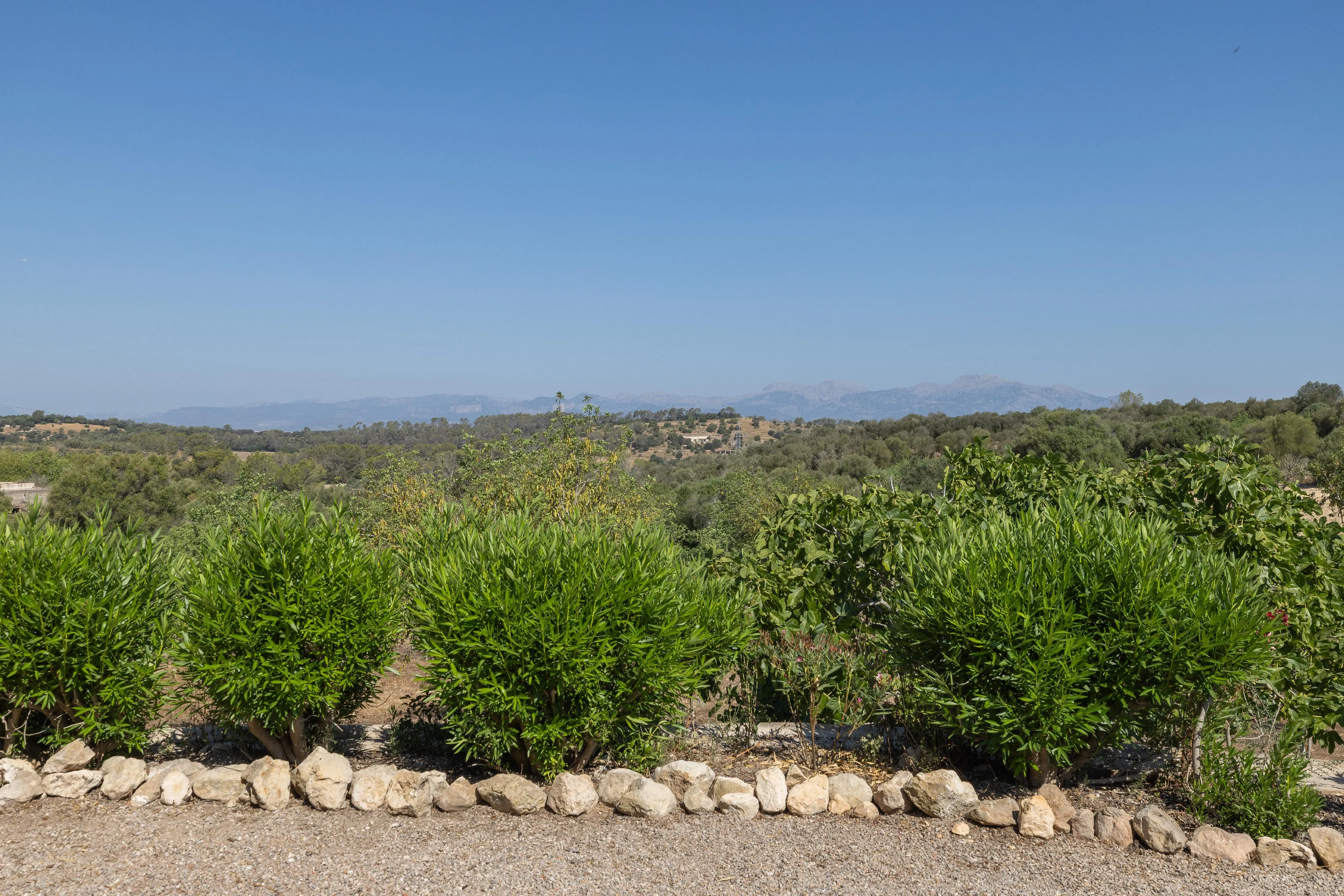 Finca situada en un turó amb vistes de somni-20