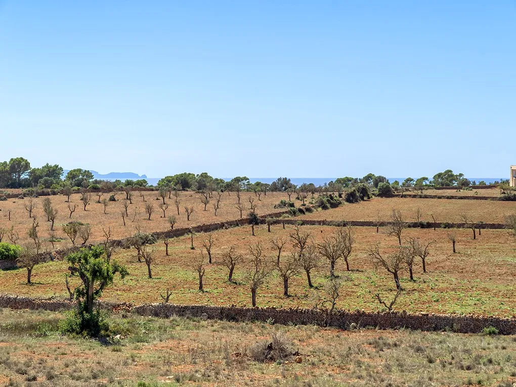 Snygg nybyggd finca nära fyren Ses Salines-8