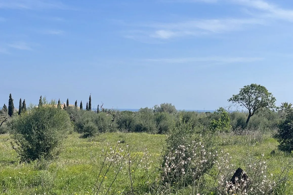Parcela rústica con vistas al mar cerca de Porto Cristo-1