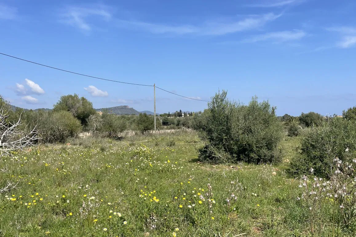 Finca plot with sea view near Porto Cristo-2