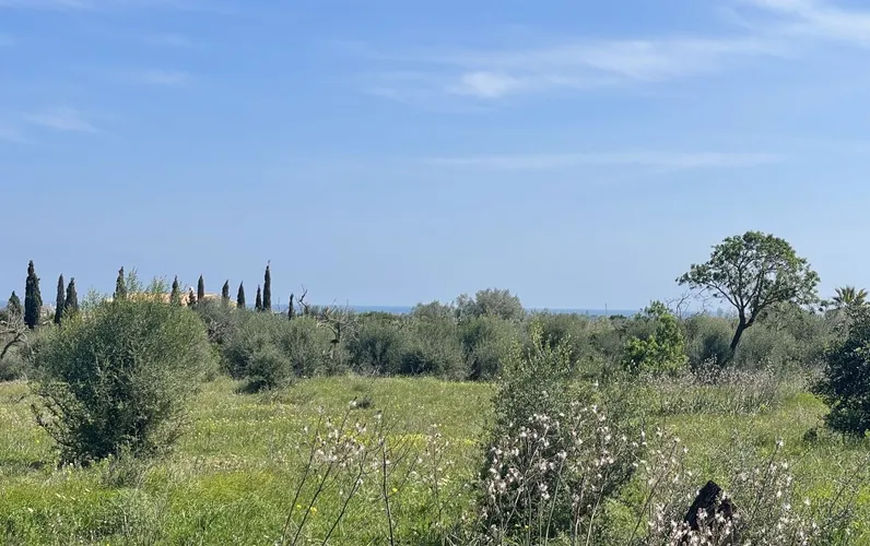 Finca met uitzicht op zee bij Porto Cristo