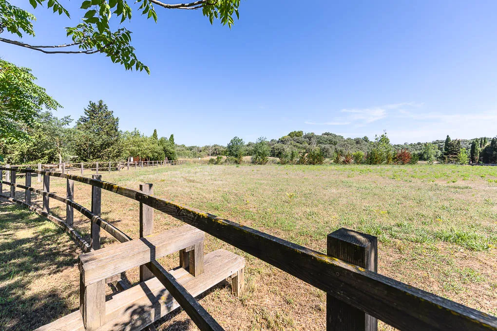 Gepflegte Finca in Biniali mit elegantem Wohnen auf einer Ebene-18