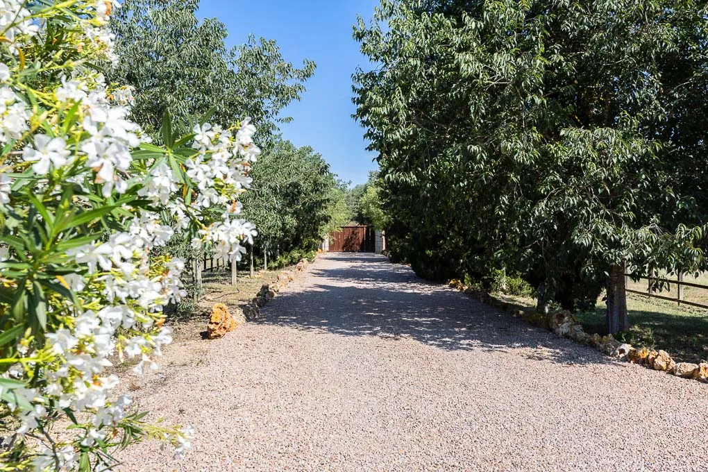 Gepflegte Finca in Biniali mit elegantem Wohnen auf einer Ebene-20