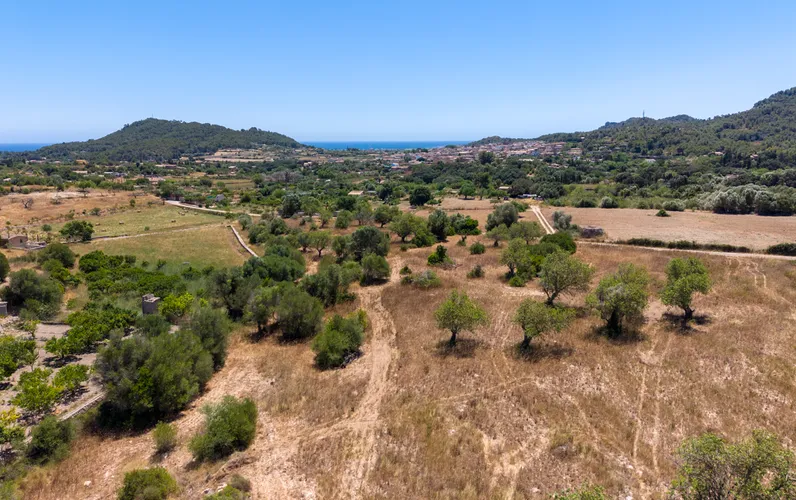 Atractivo terreno con gran potencial en Son Servera – Es Fetget