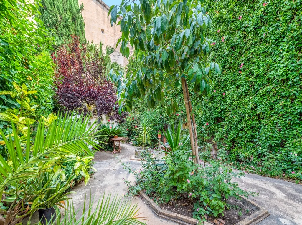 Ekstraordinært hus i Sóller med garage og have-21