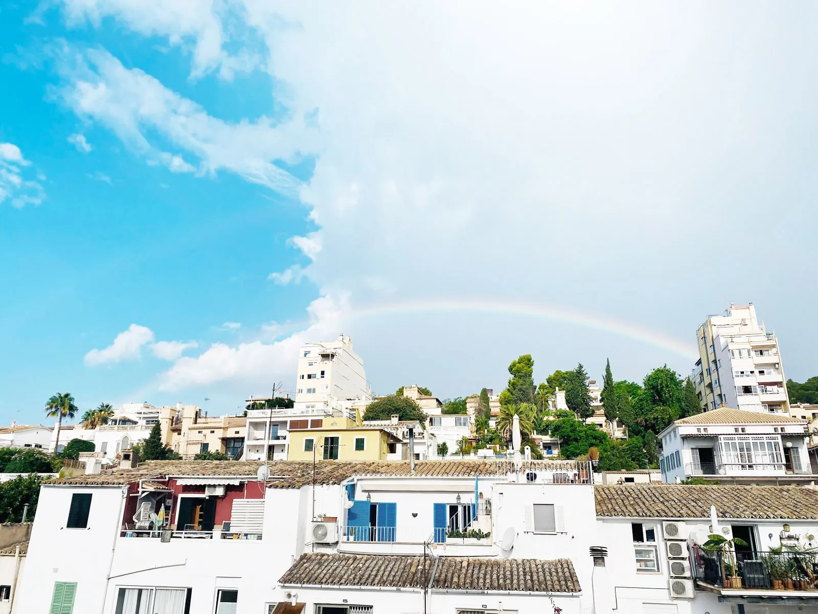 Studio z 360-stopniowym widokiem na dachy Palmy - El Terreno-14