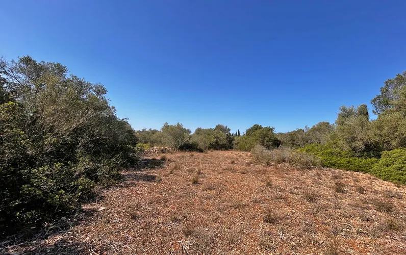 Działka z projektem na idyllicznym osiedlu