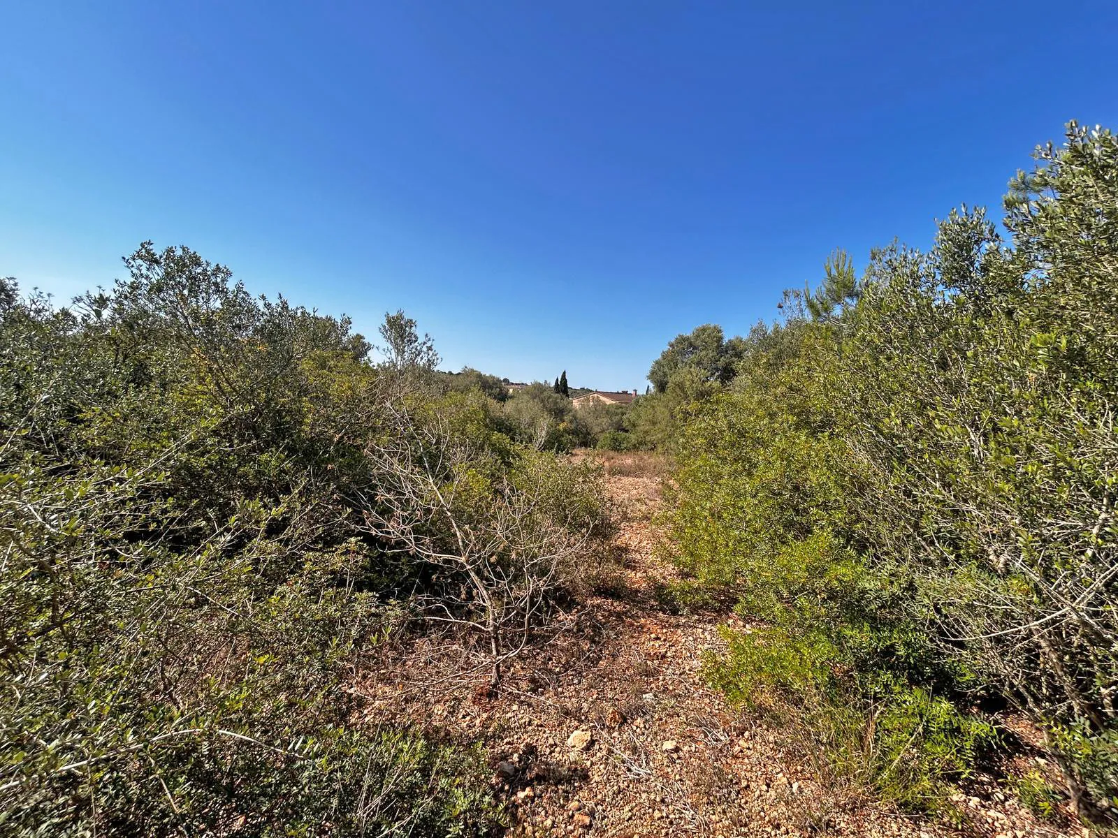 Terreno con proyecto en urbanización idílica-3