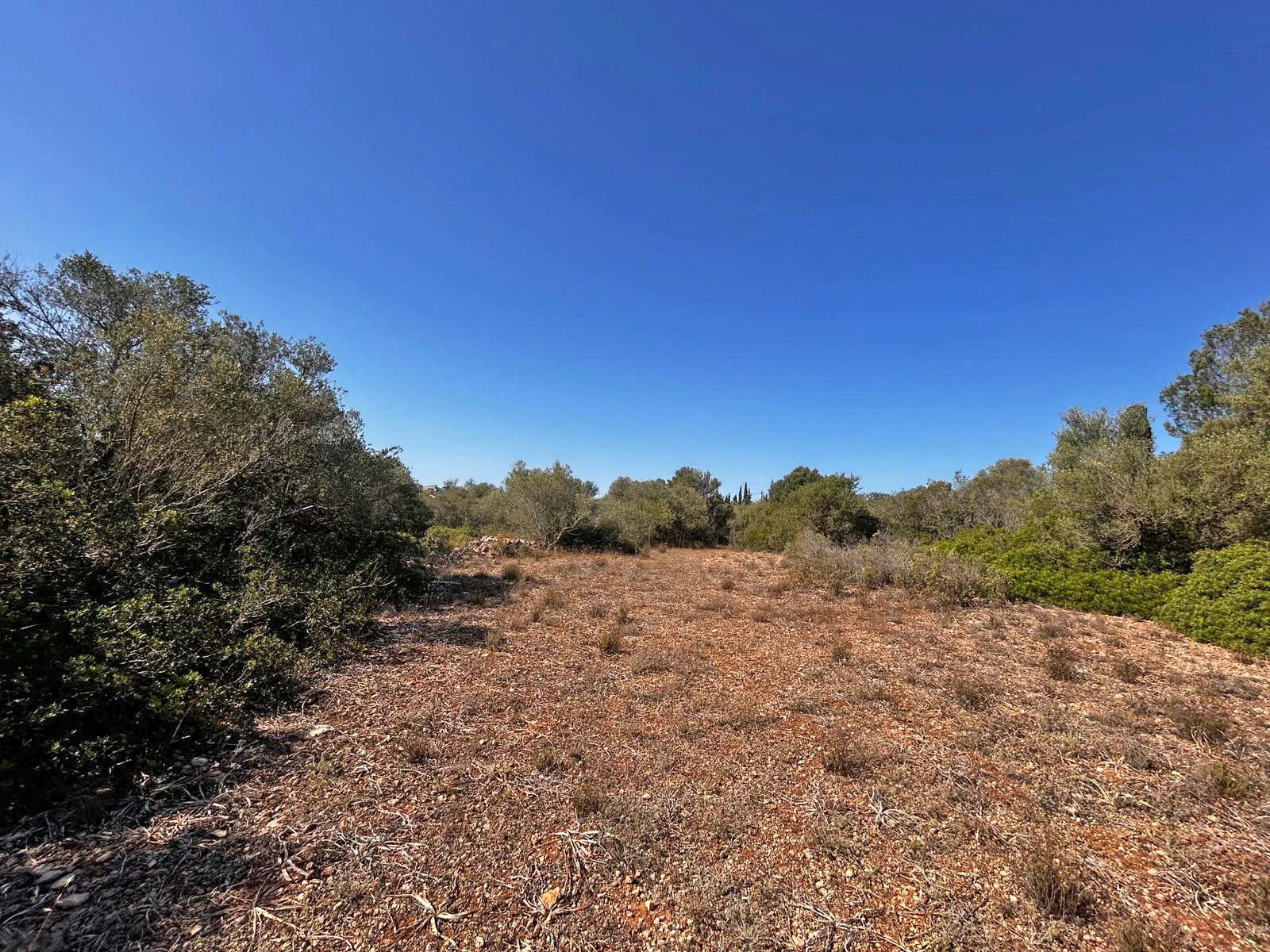 Plot with license in idyllic residential area-1