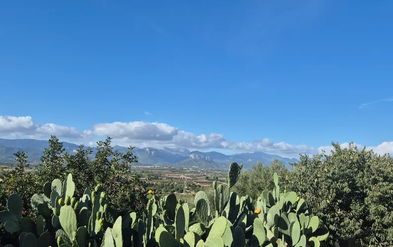 Działka z pozwoleniem na budowę i wspaniałymi widokami w pobliżu Santa Maria