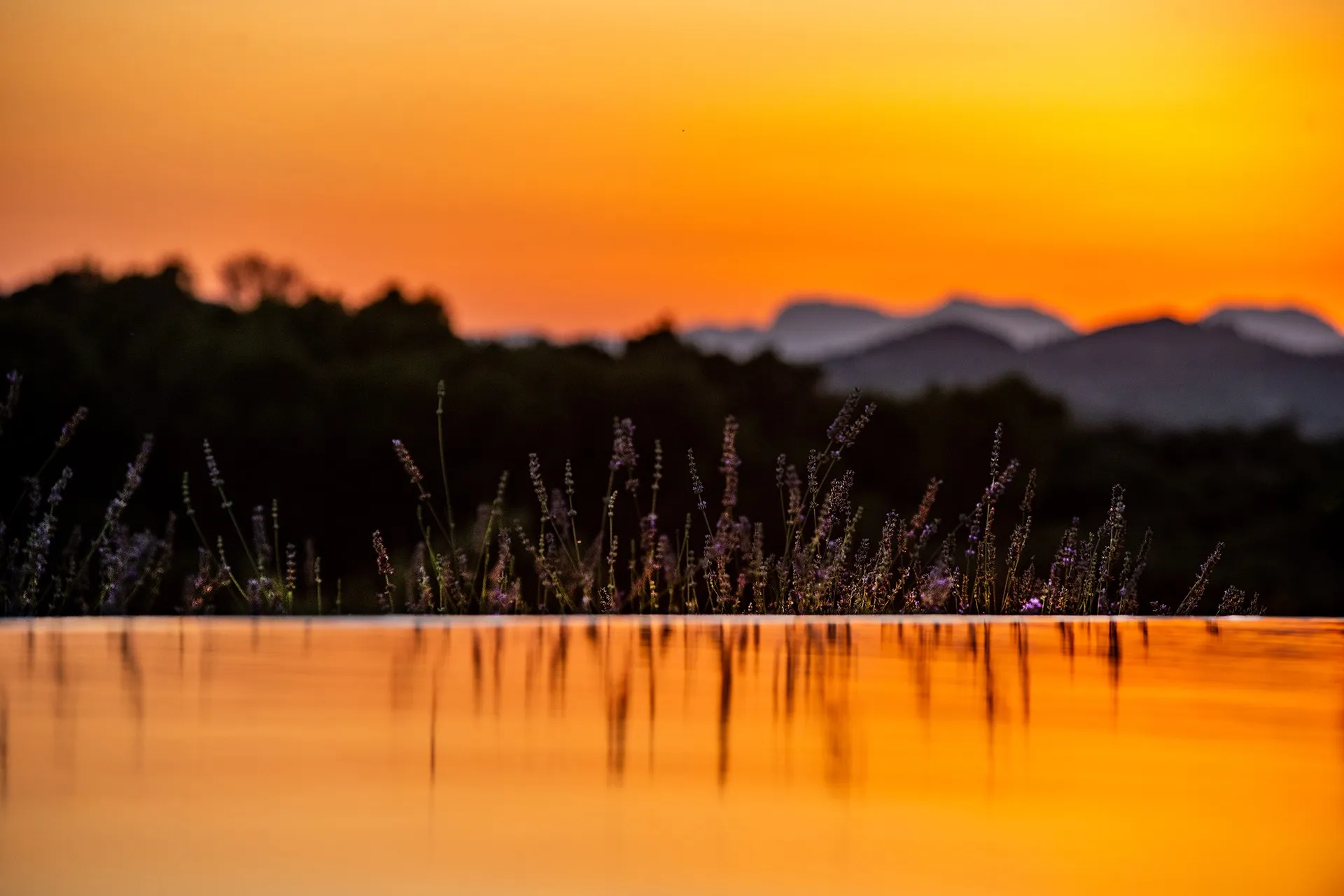 Finca de rêve avec vue panoramique incroyable-18