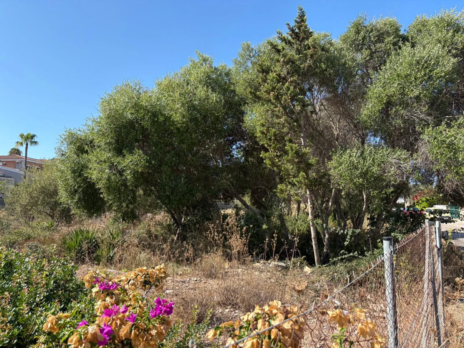 Bouwperceel in gewilde locatie aan zee-4