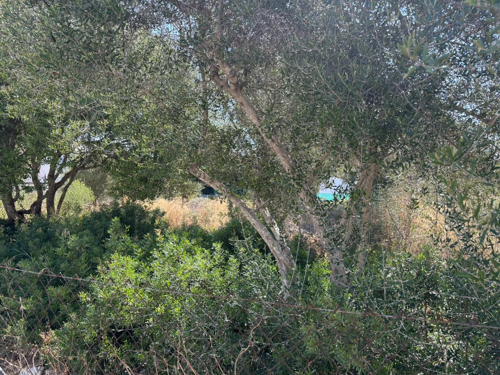 Bouwperceel in gewilde locatie aan zee-3