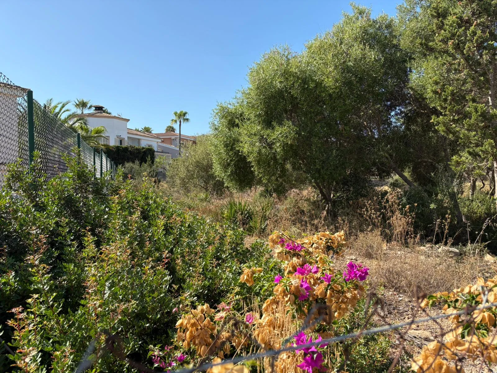 Bouwperceel in gewilde locatie aan zee-1