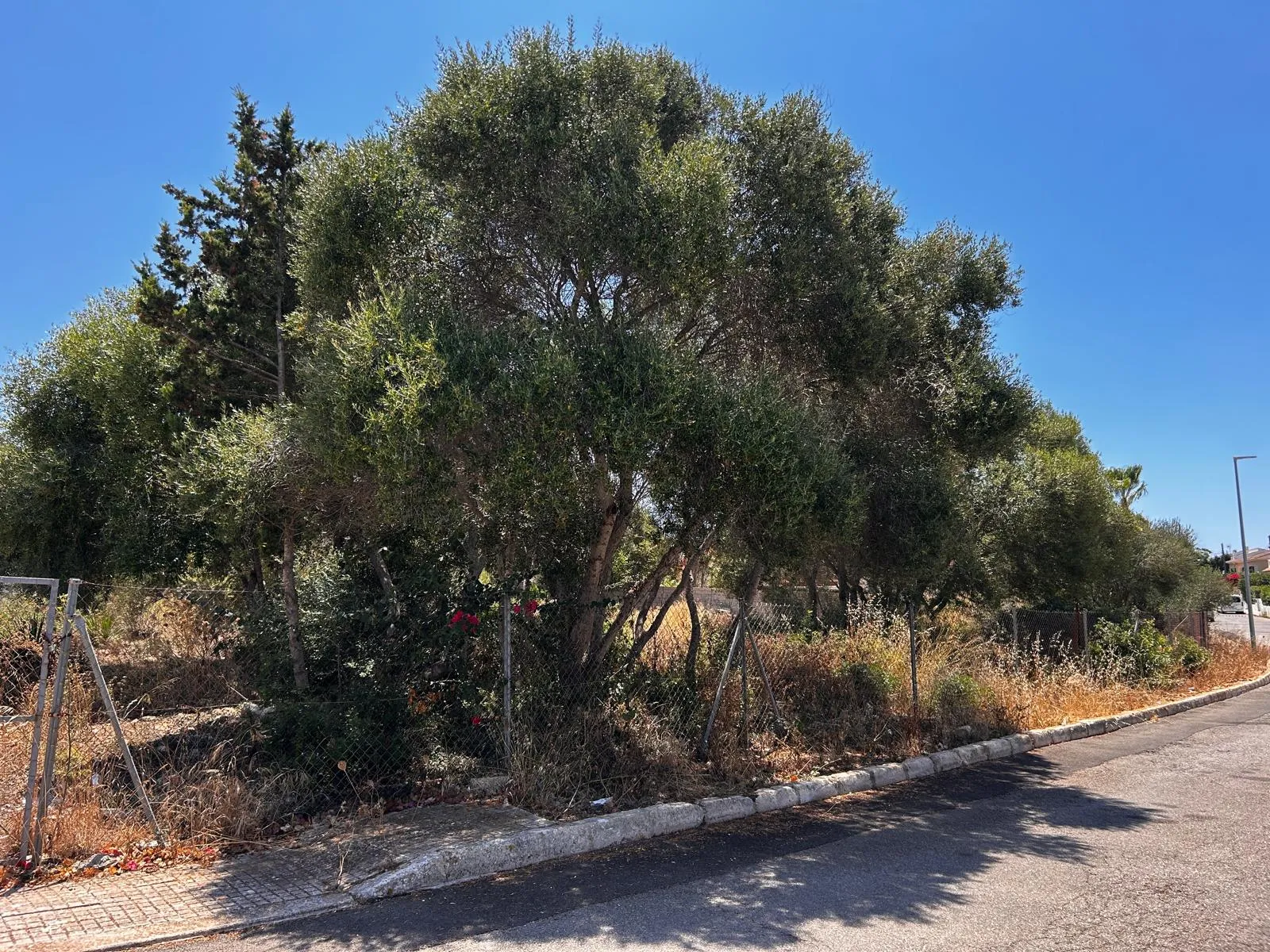 Bouwperceel in gewilde locatie aan zee-2