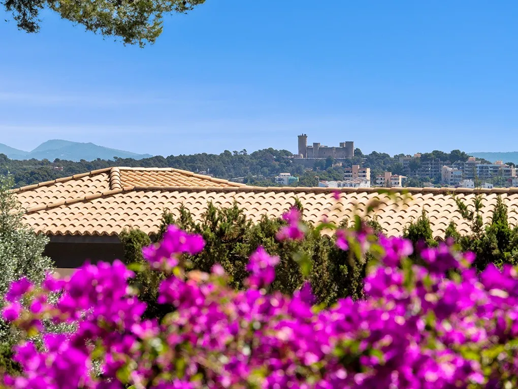 Amazing villa with sea views-32