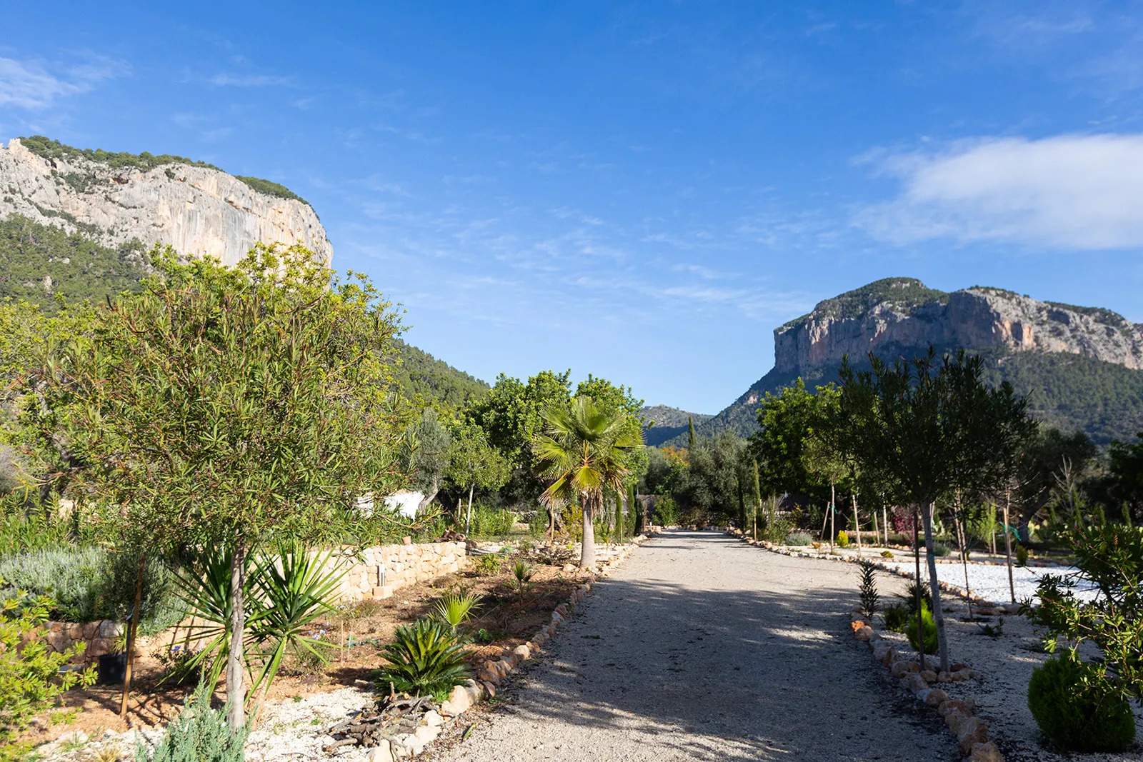 Maison de campagne exceptionnelle en situation privilégiée près d'Alaró-27