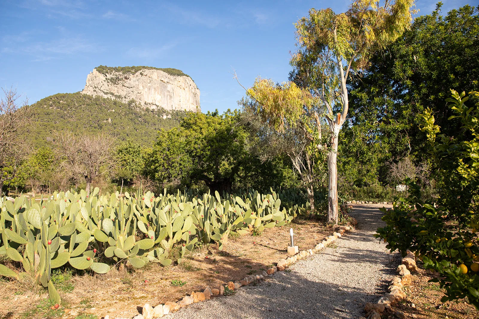 Exceptional Finca in a prime location near Alaró-26