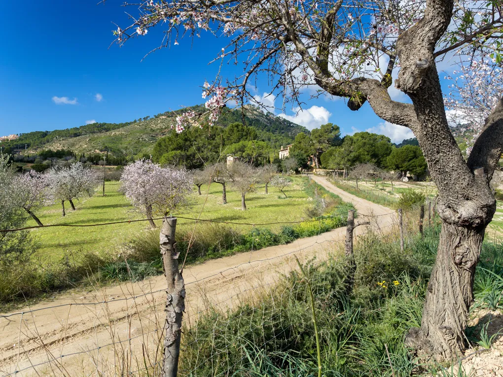 Historical property with possibilities-14