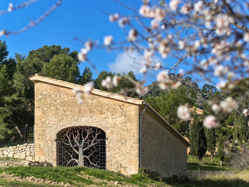 Historical property with possibilities-9