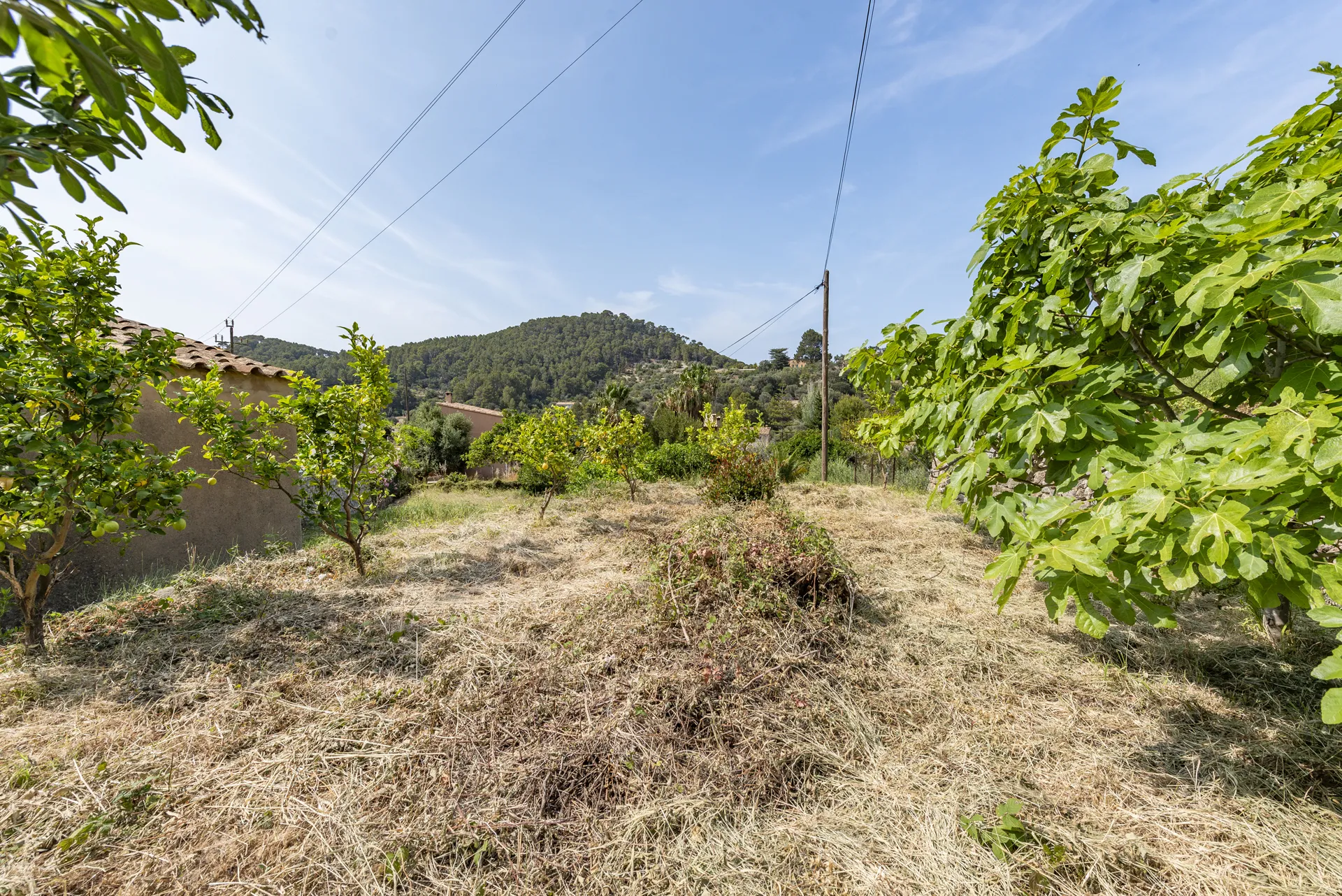 Charmante maison de ville avec une terrasse sur le toit à couper le souffle et des vues sur la montagne à Estellencs-26
