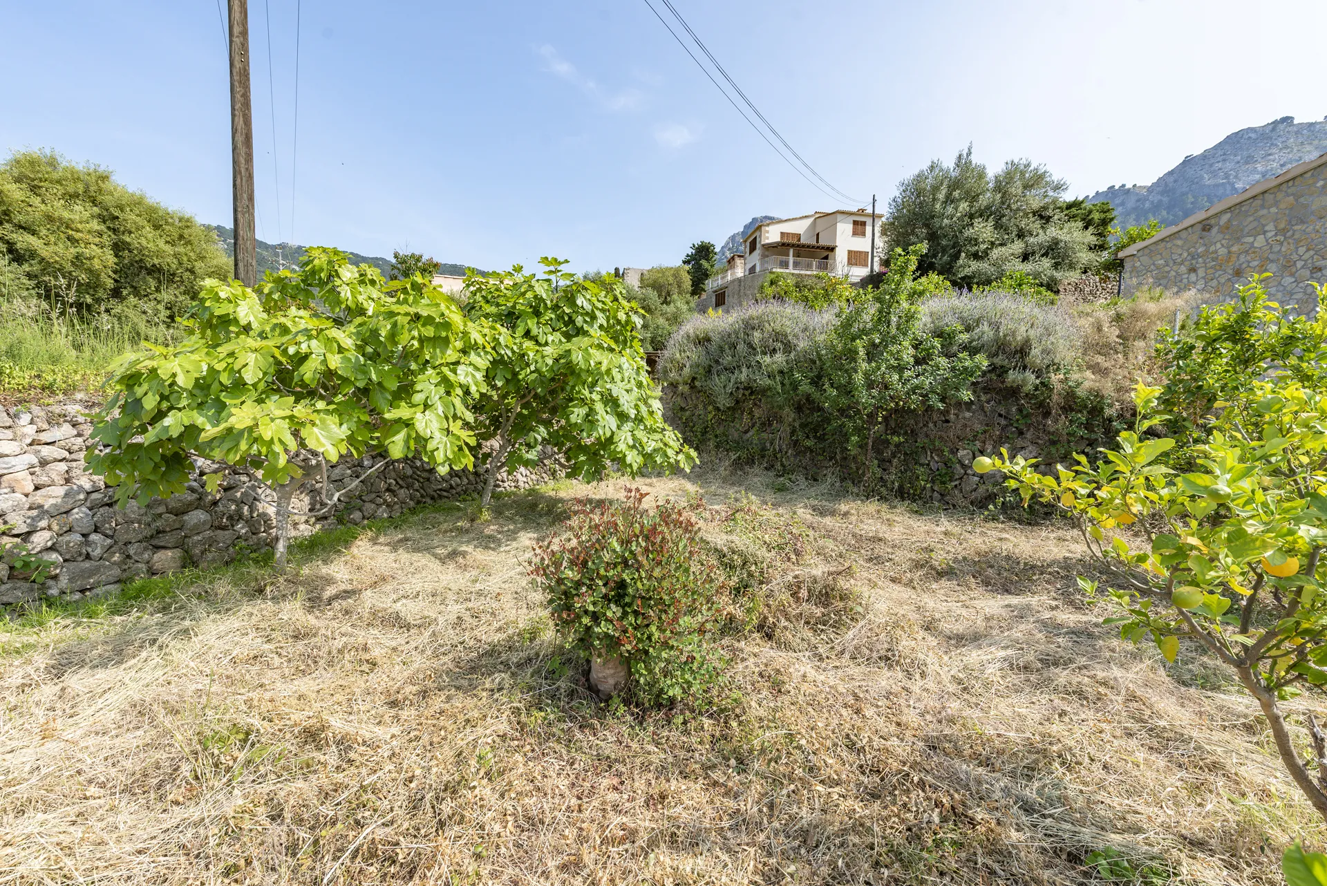 Charmante maison de ville avec une terrasse sur le toit à couper le souffle et des vues sur la montagne à Estellencs-27