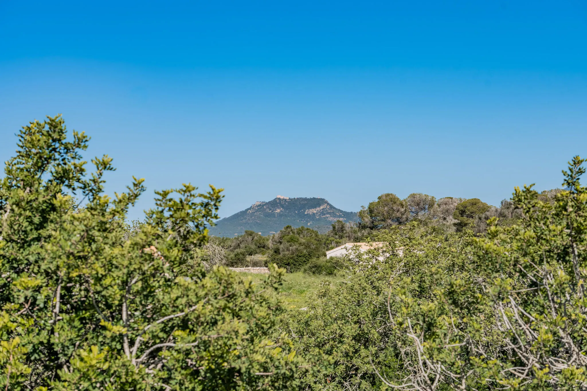 Finca z rozległymi widokami i dużą działką w pobliżu Santanyí-25