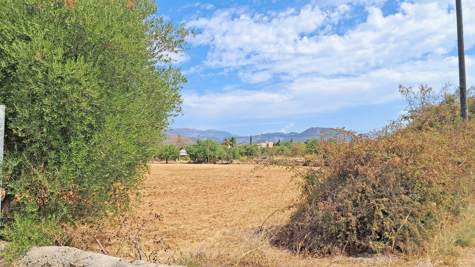 Rustic finca to reform near Santa Maria-19