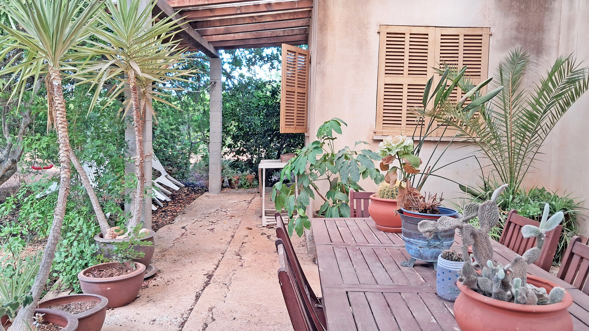 Rustic finca to reform near Santa Maria-16