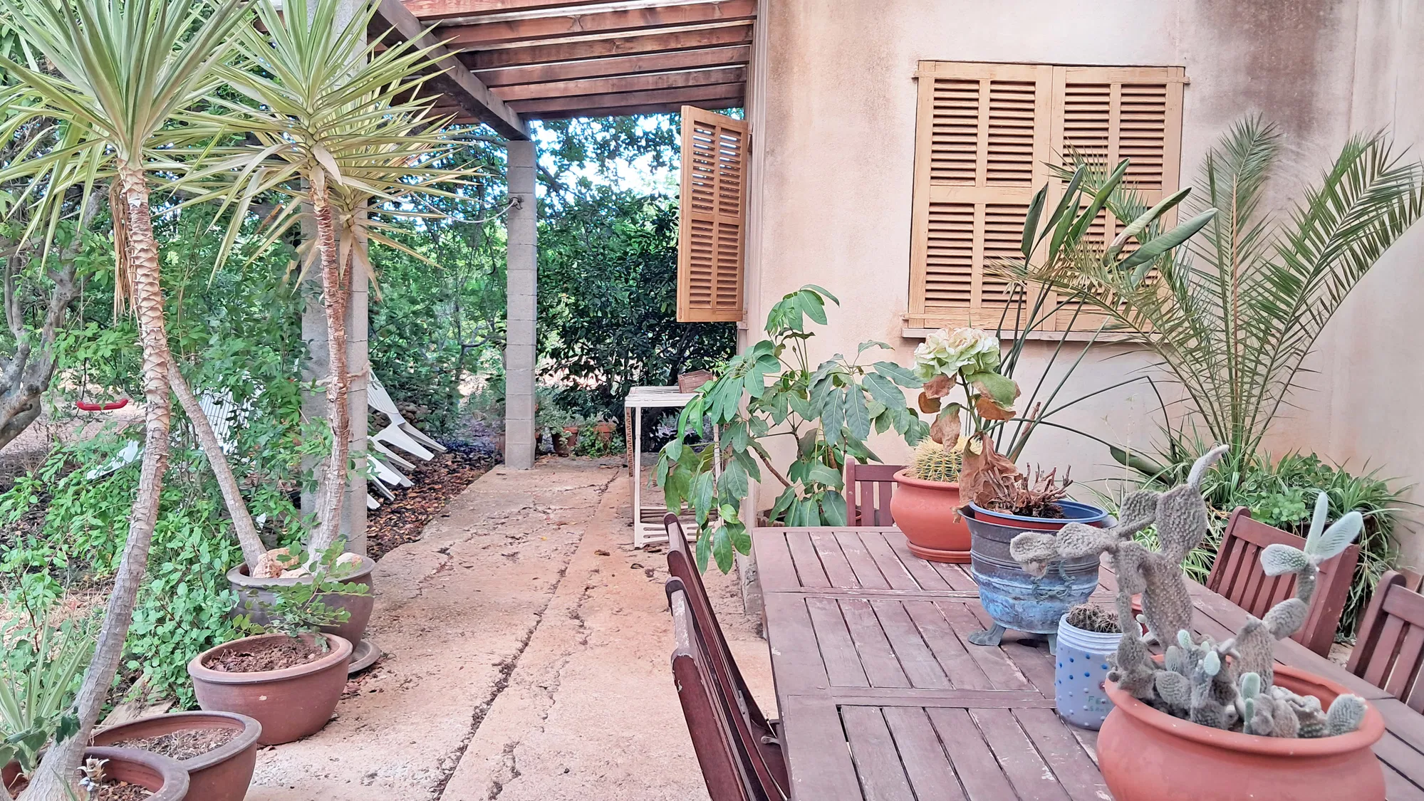 Rustic finca to reform near Santa Maria-16