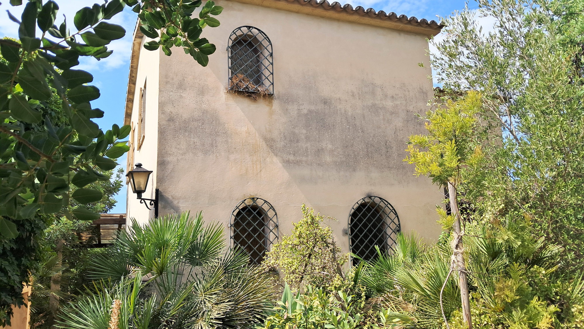 Rustic finca to reform near Santa Maria-14
