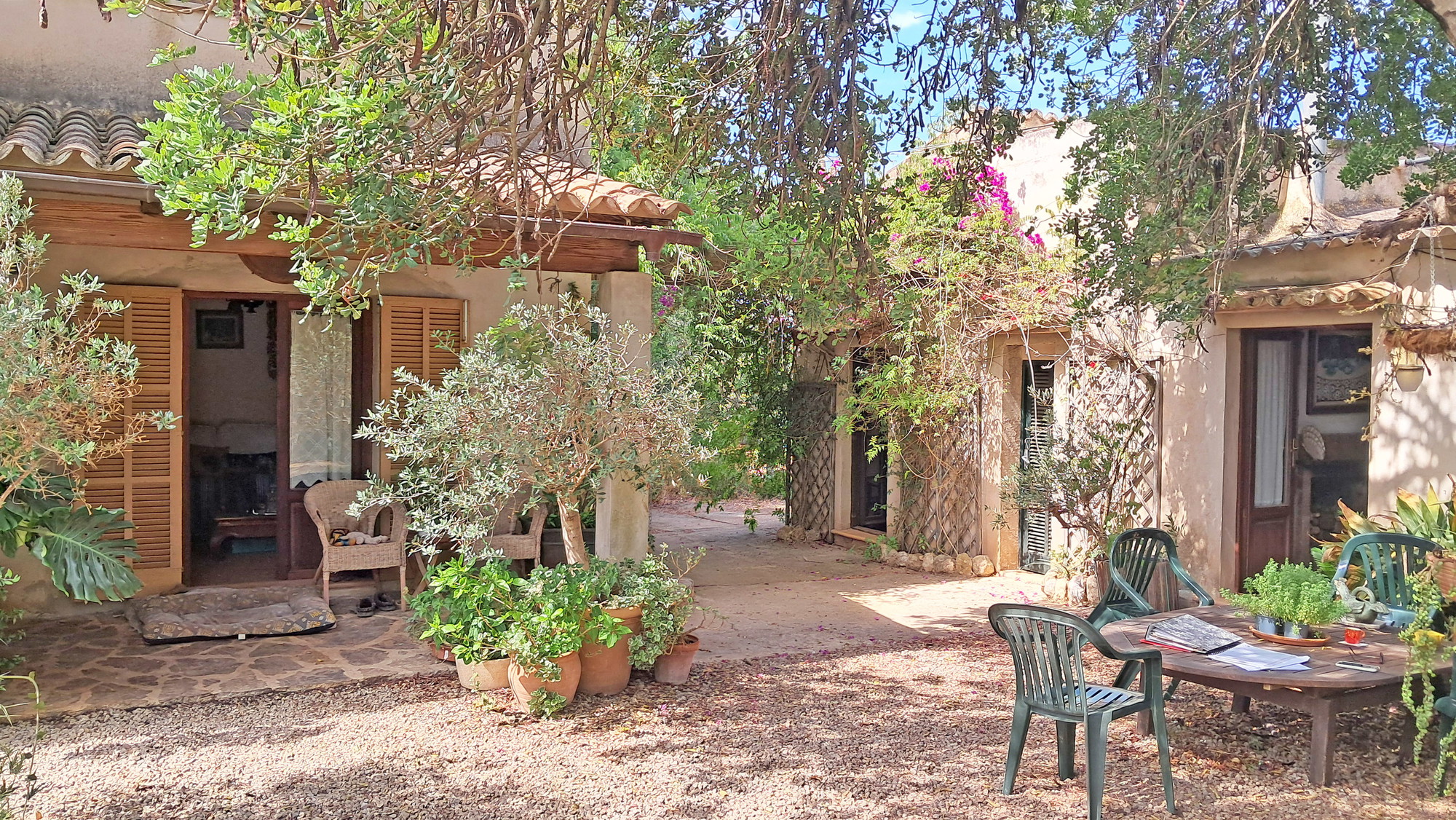 Rustic finca to reform near Santa Maria-13