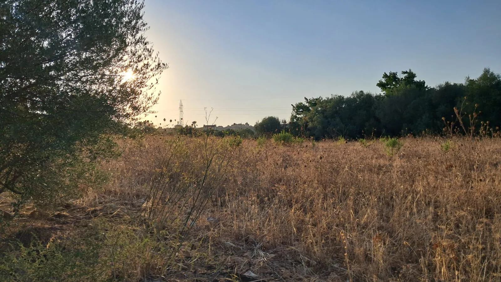 Terreno con vistas y proyecto de construcción – a 45 minutos del aeropuerto de PMI-3