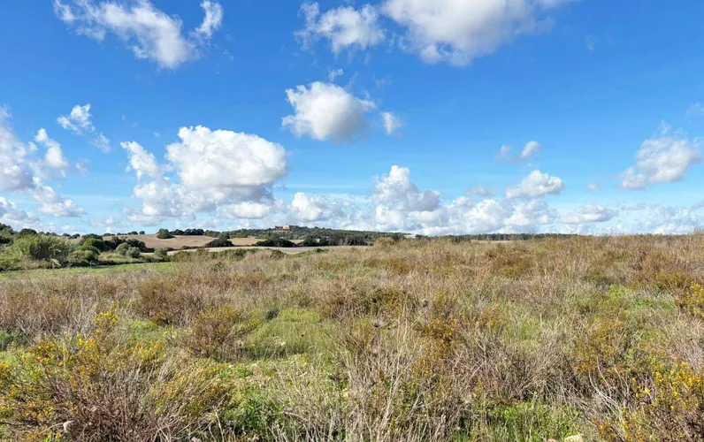 Działka budowlana w pobliżu Vilafranca: prywatne zacisze z dalekosiężnymi widokami