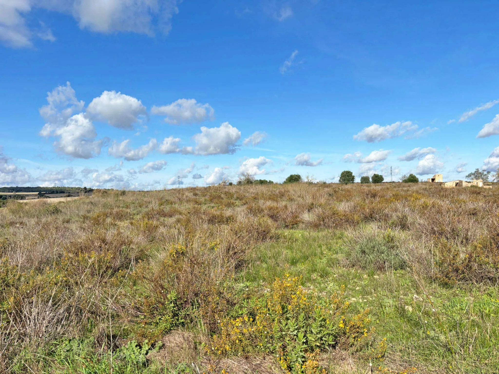 Parcel·la de construcció a prop de Vilafranca: un refugi privat amb vistes panoràmiques-2