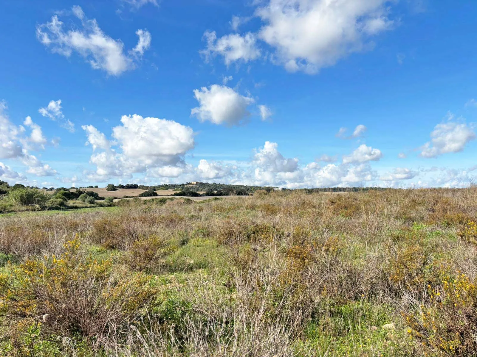 Parcel·la de construcció a prop de Vilafranca: un refugi privat amb vistes panoràmiques-1