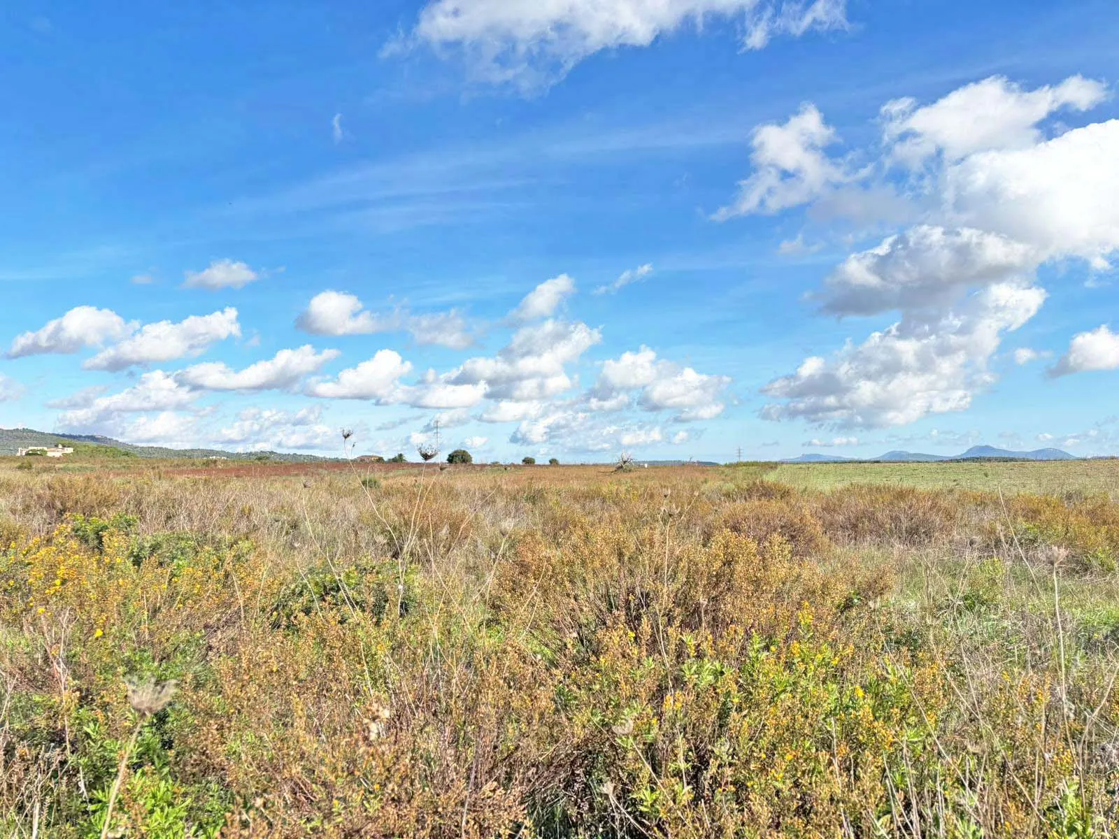 Byggegrund nær Vilafranca: Privat tilflugtssted med vidtrækkende udsigt-3