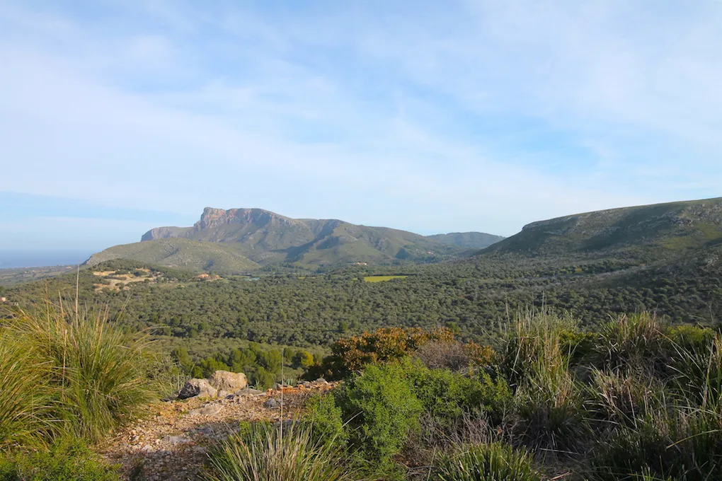 Propriété exclusive d'environ 500 ha avec vue panoramique sur Majorque-3