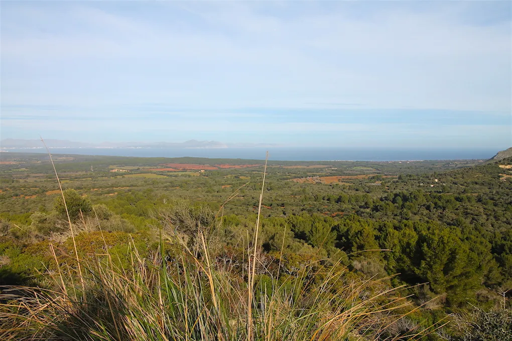 Propriété exclusive d'environ 500 ha avec vue panoramique sur Majorque-10