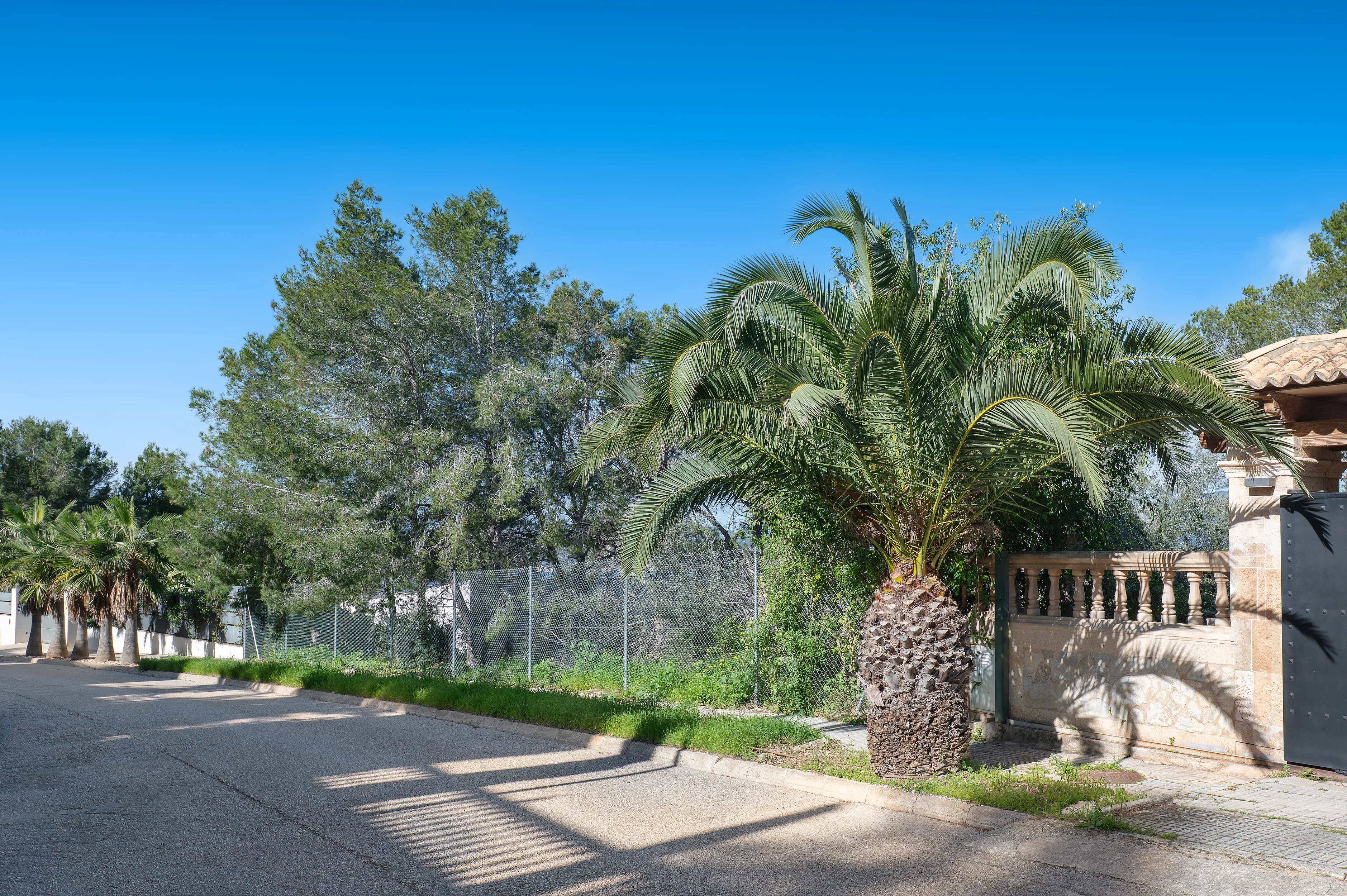 Top sea-view plot in prime location-4