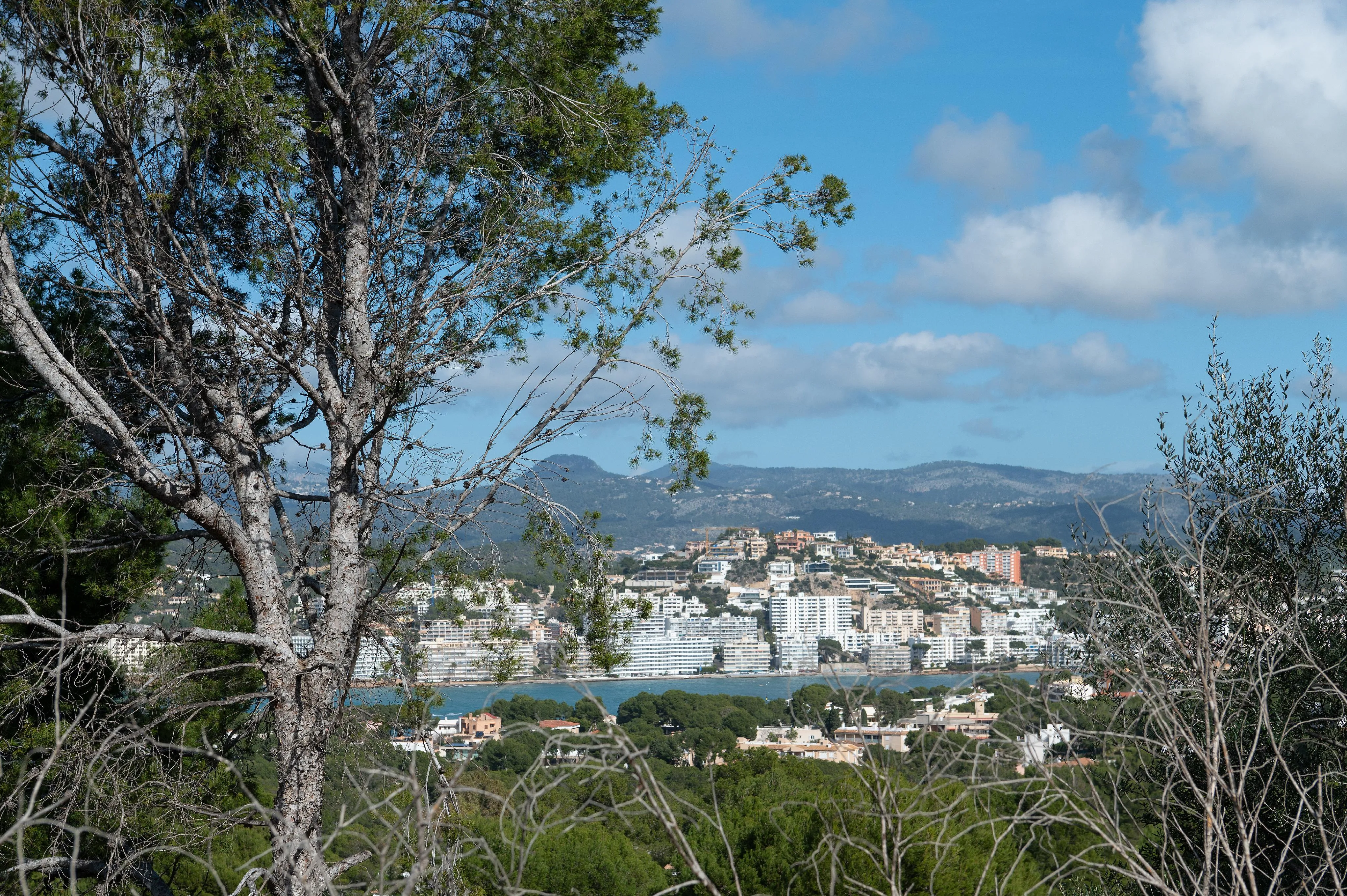 Top sea-view plot in prime location-1