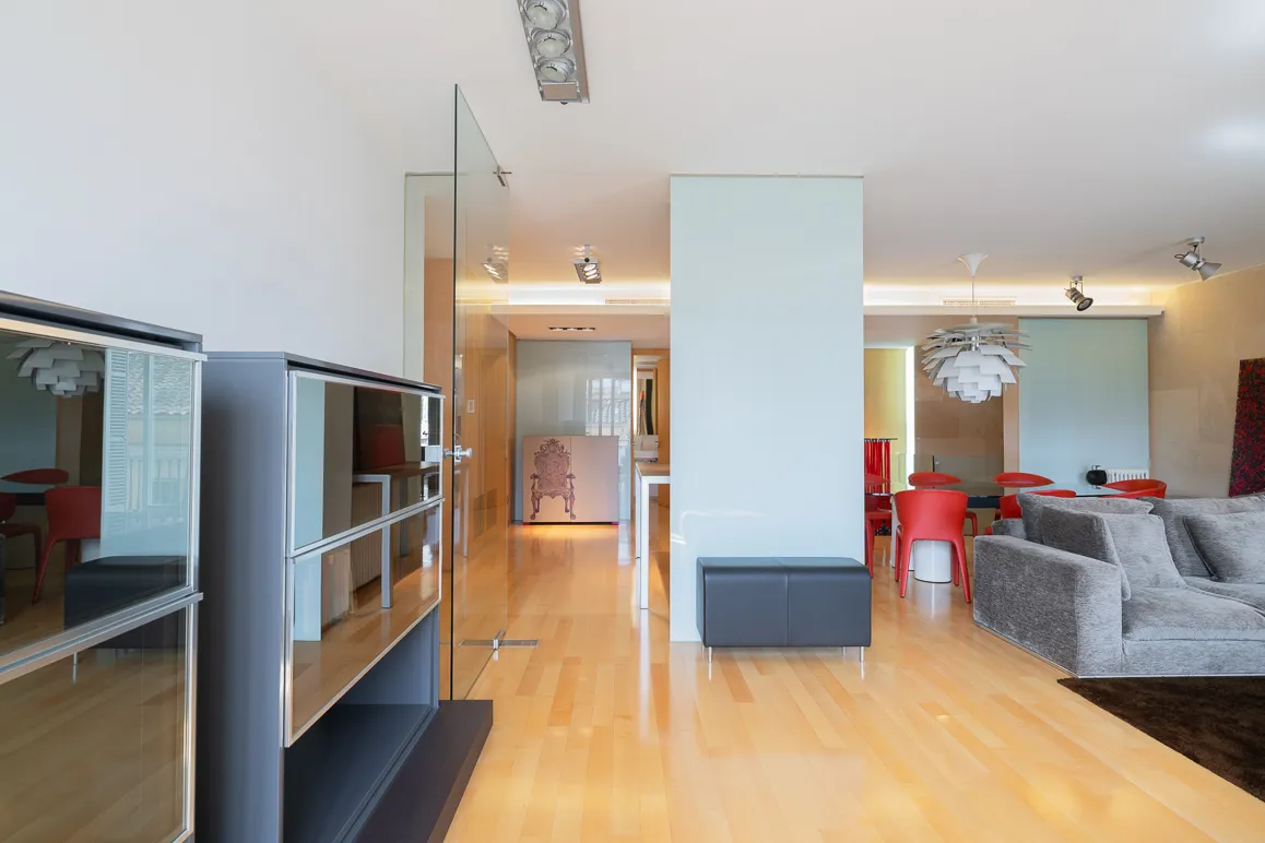 Bright, spacious duplex apartment with elevator-6
