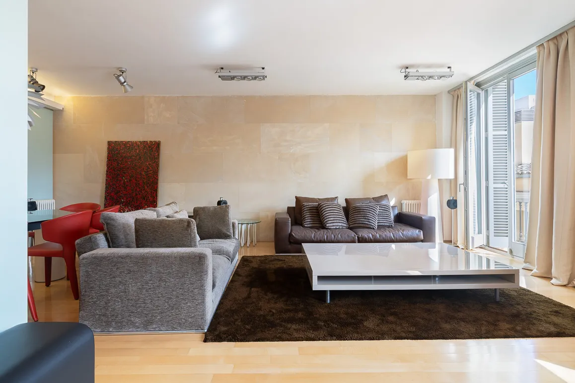 Bright, spacious duplex apartment with elevator-1