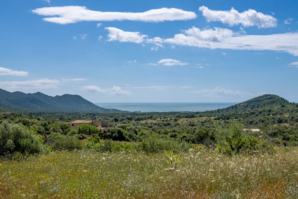 Propietat rural amb vistes al mar i una gran parcel·la de terreny entre Artà i Son Servera-3