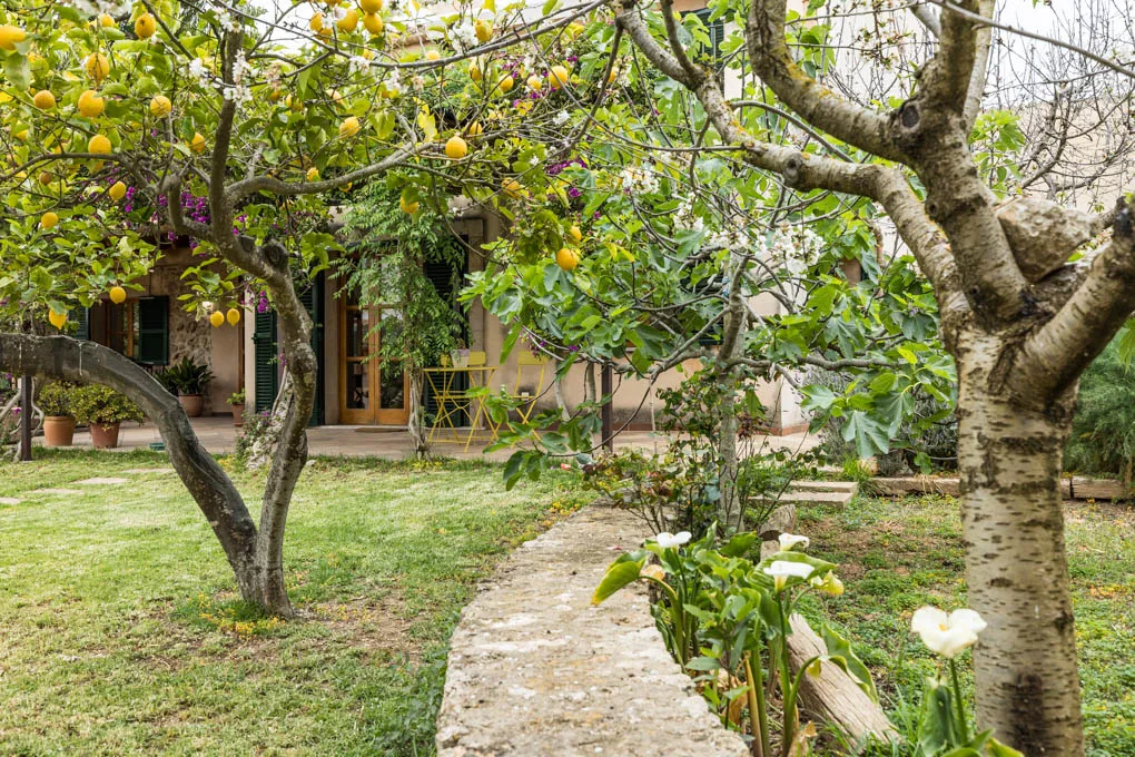Maison de ville typique et accueillante avec grand jardin et piscine-16