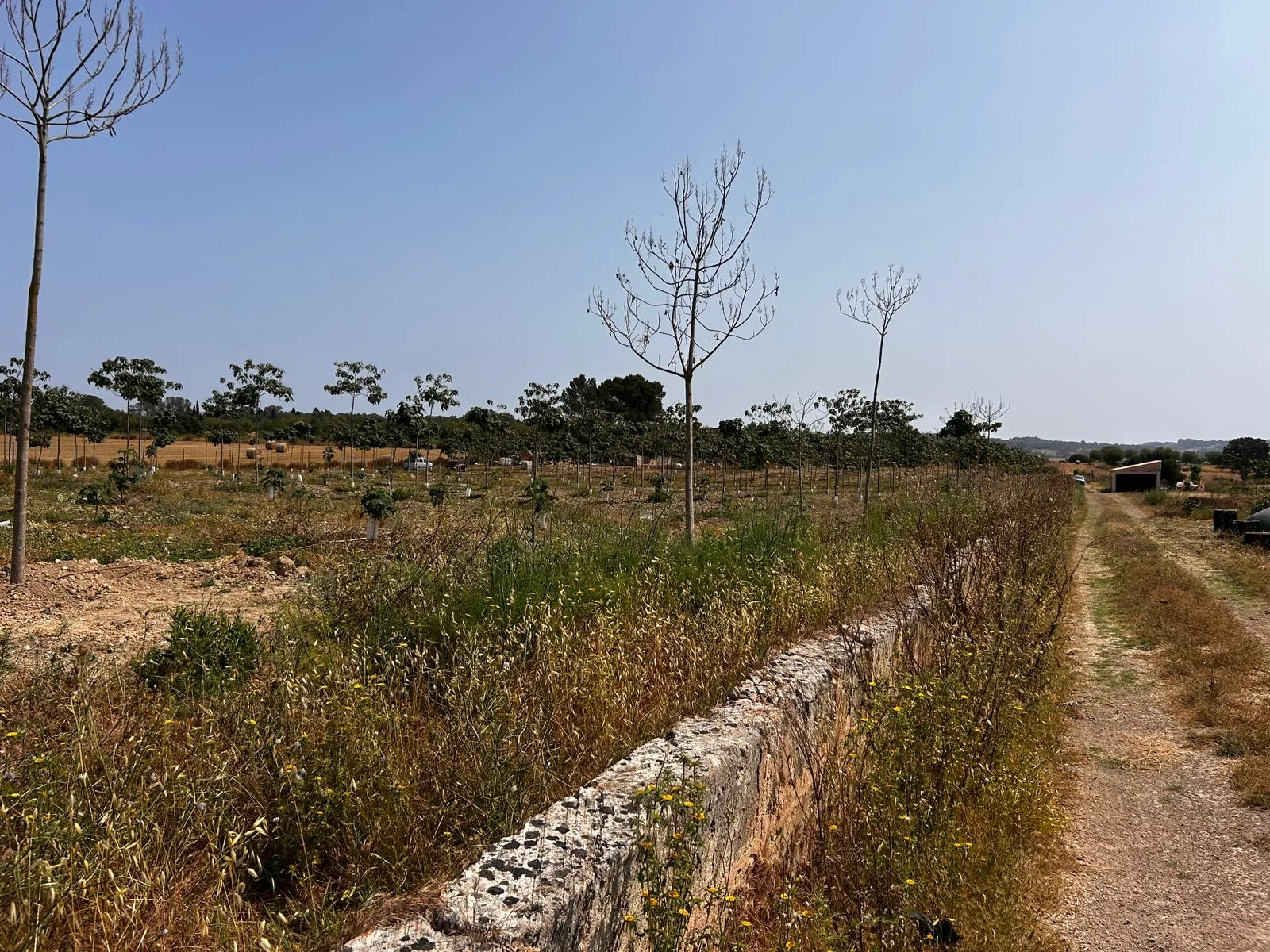 Terreny edificable situat en un entorn idíl·lic-3