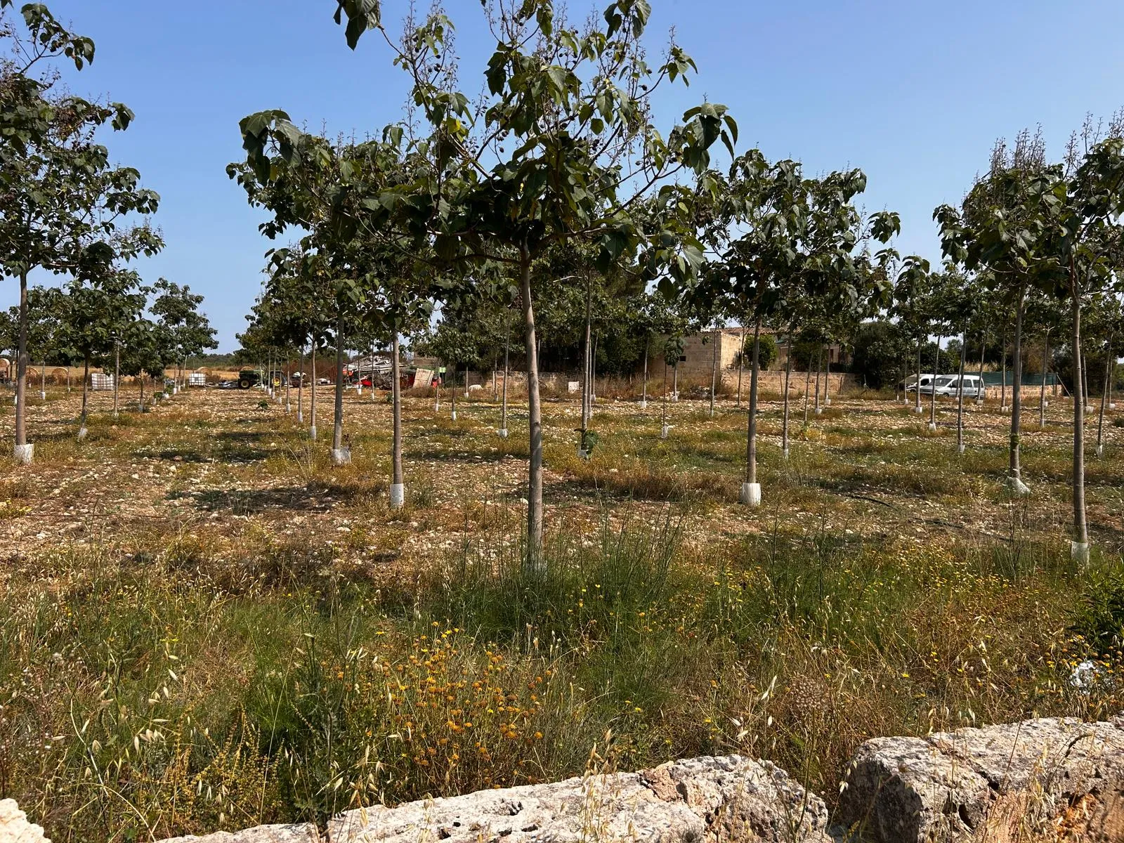 Terreny edificable situat en un entorn idíl·lic-2