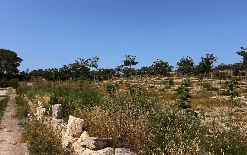 Terreno edificable situado en un entorno idílico