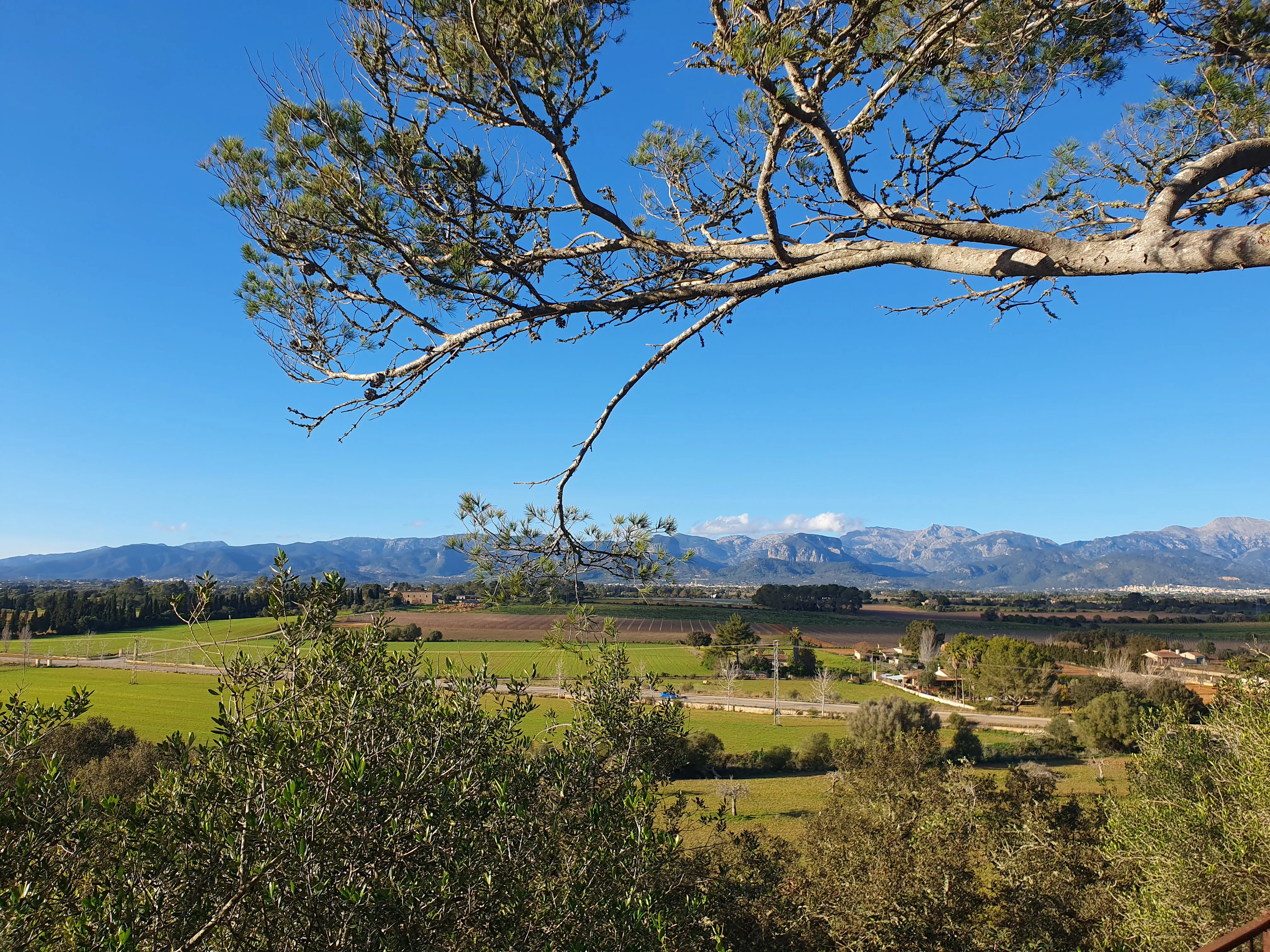 Finca met prachtig uitzicht op het Tramuntana-gebergte-2