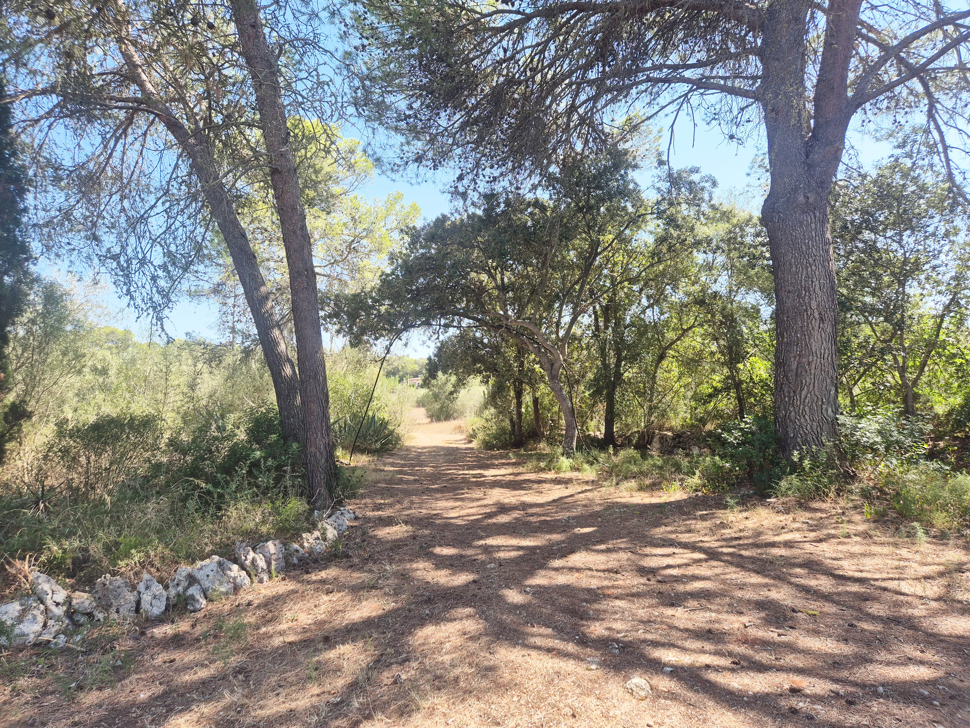 Una casa de camp amb unes vistes meravelloses de la Serra de Tramuntana-17